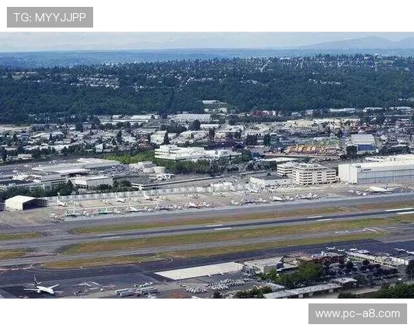 波音体育官方地址查询指南：如何找到可信的入口