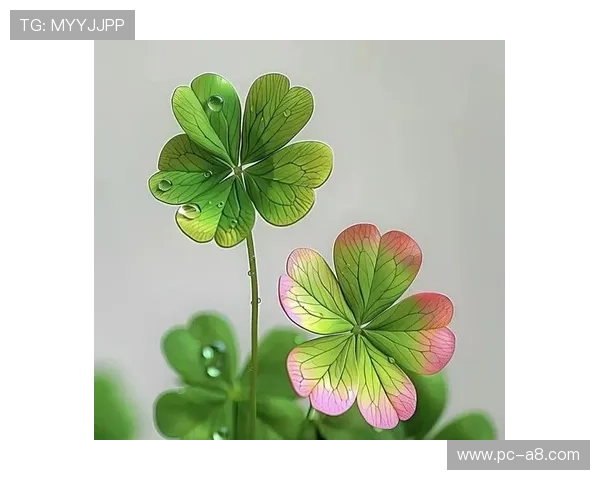 开运入口：找到属于你的幸运门径让每一天都充满希望与惊喜