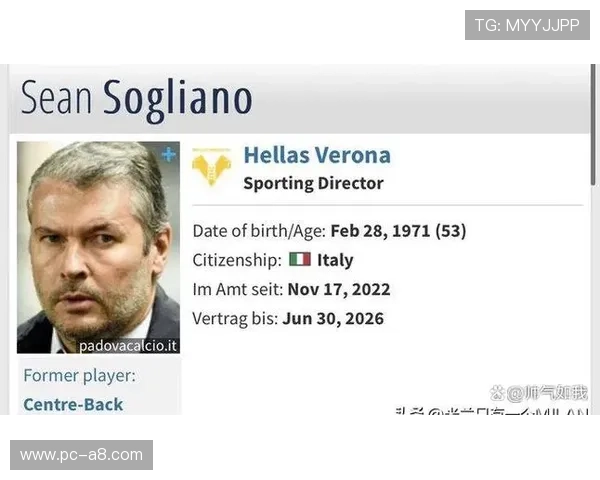 米兰体育网娱乐：全方位解析米兰球队的战术与细节