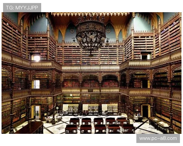 澳门D88尊龙最新优惠信息及时更新让玩家享受更多专属福利与奖励