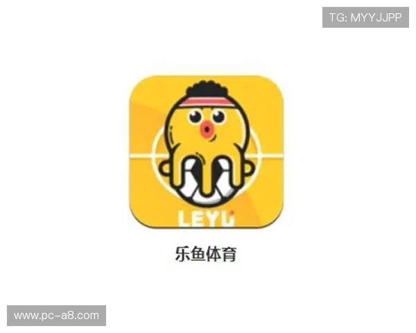 乐鱼体育官网入口官方推荐，保障用户资金安全与优质服务体验