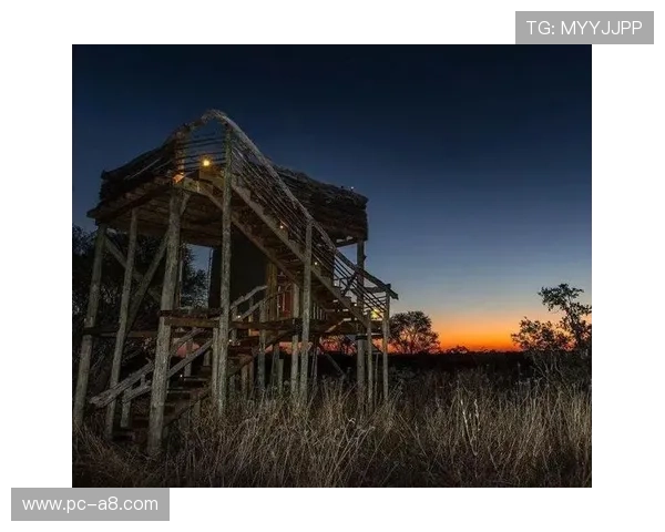 探索霸王娱乐城丰富多彩的娱乐项目与极致的客户体验