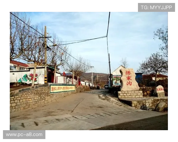 8868体育国际开户平台优势全面分析选择优质平台的关键因素