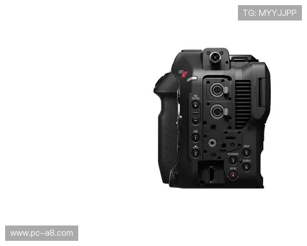 尊龙z6官方旗舰店用户评价与实测体验分享帮助你做出明智购买决策