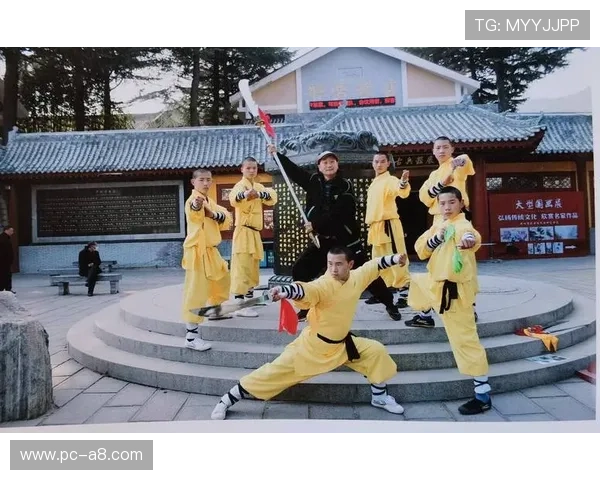 腾龙真人现场表演亮点解析，带你欣赏顶级武术大师的精彩绝伦表演